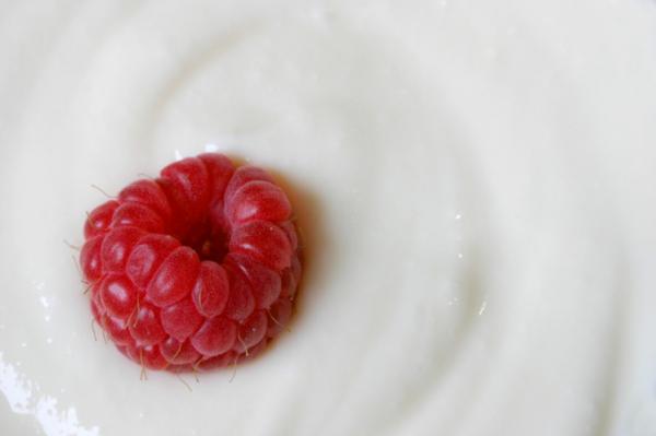 yogourt nature